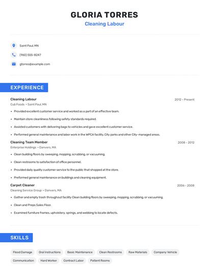 Cleaning Labour Resume