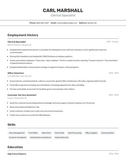 Resume example 2