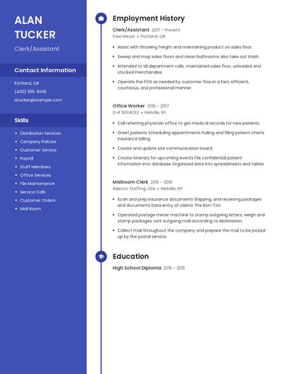 Resume example 5