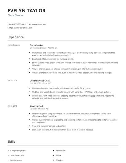 Clerk Checker Resume