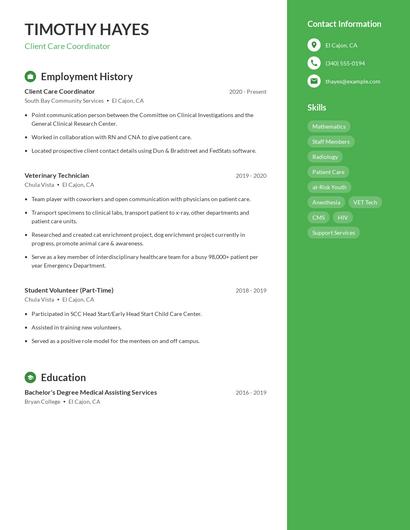 Resume example 5