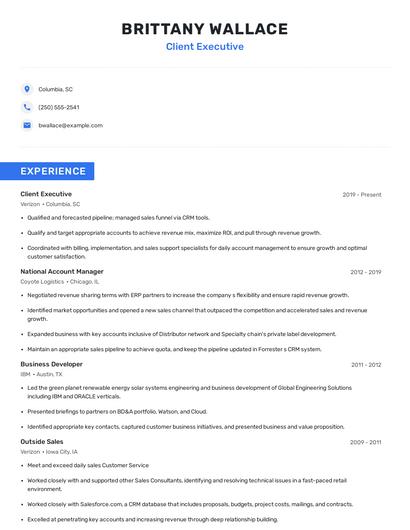 Client Executive Resume