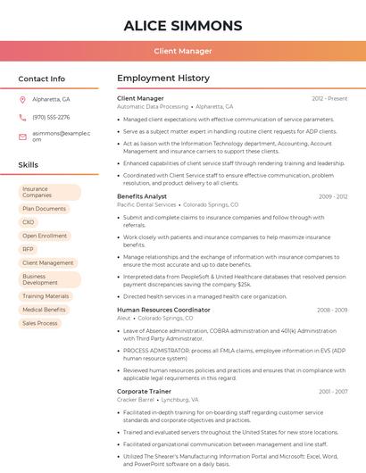 Resume example 3