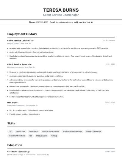 Resume example 2