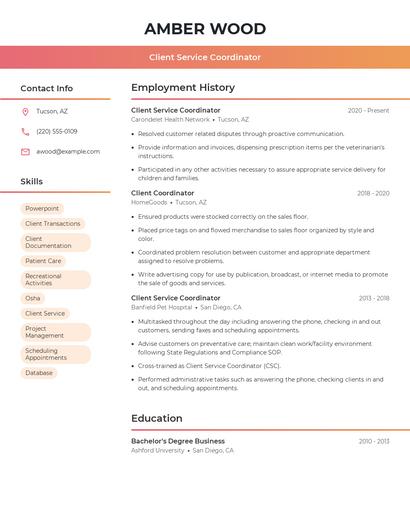 Resume example 3