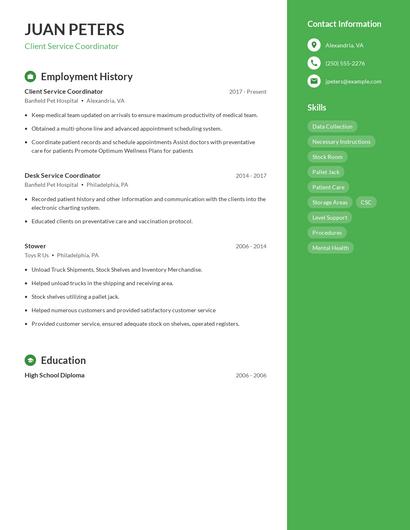 Resume example 4