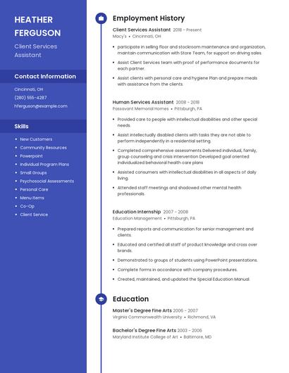 Resume example 5