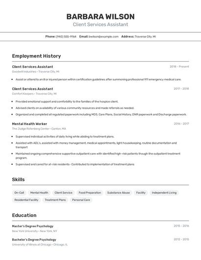 Resume example 2