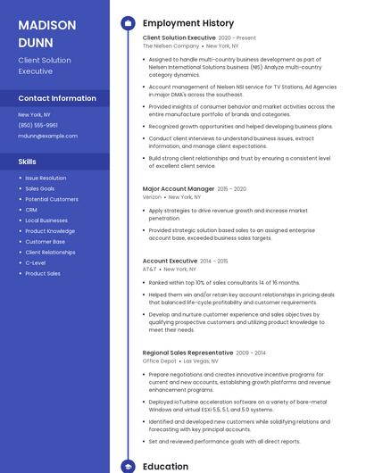 Client Solution Executive Resume