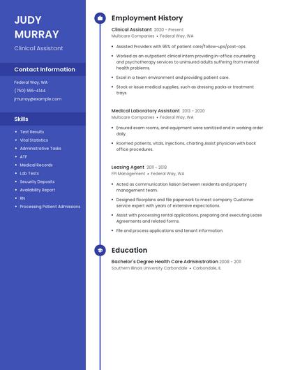 Resume example 5