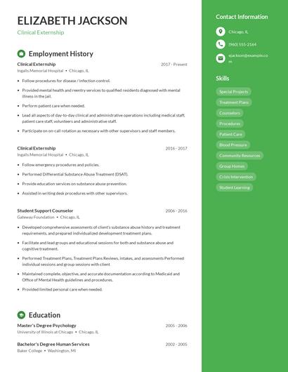 Resume example 5
