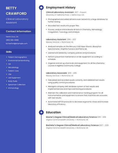 Resume example 4