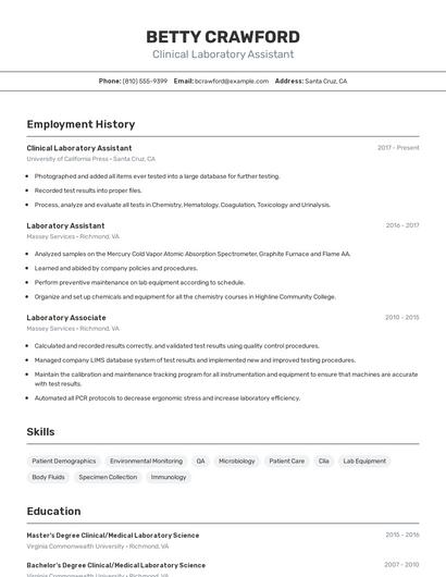 Resume example 2
