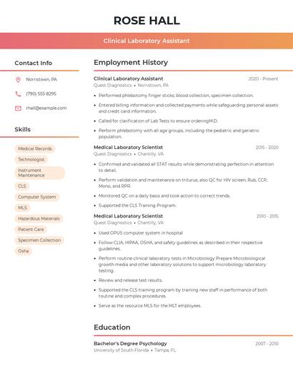 Resume example 3