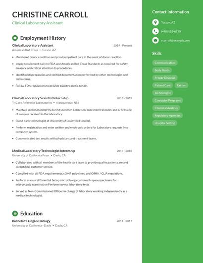 Resume example 5