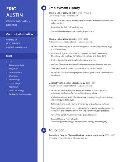 Resume example 4