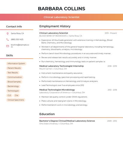 Resume example 3