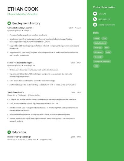 Resume example 5
