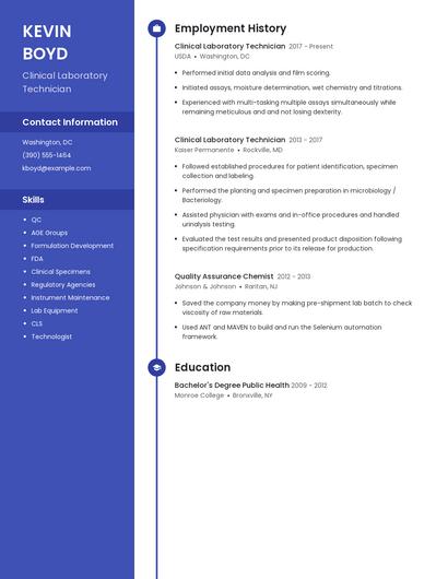 Resume example 5