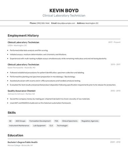 Resume example 2