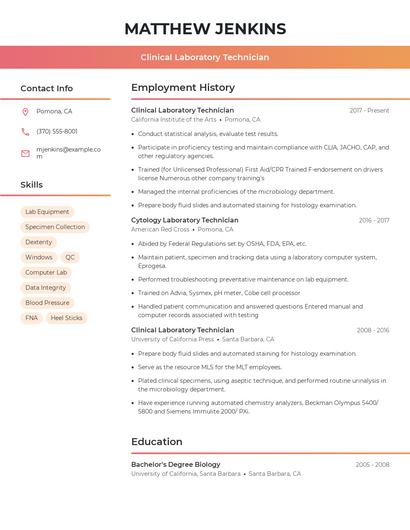 Resume example 3