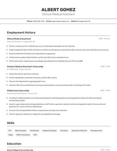 Resume example 2