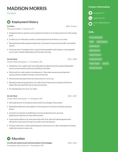Resume example 4