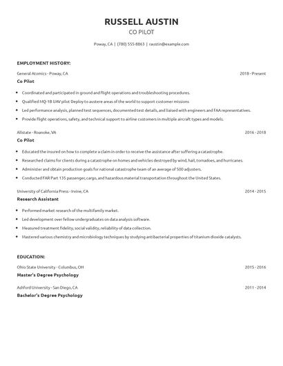 Co Pilot Resume
