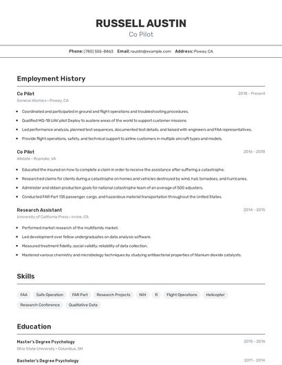 Co Pilot Resume