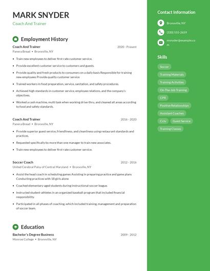 Resume example 5