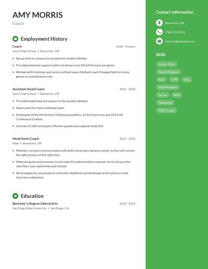 Resume example 4