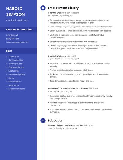 Resume example 5