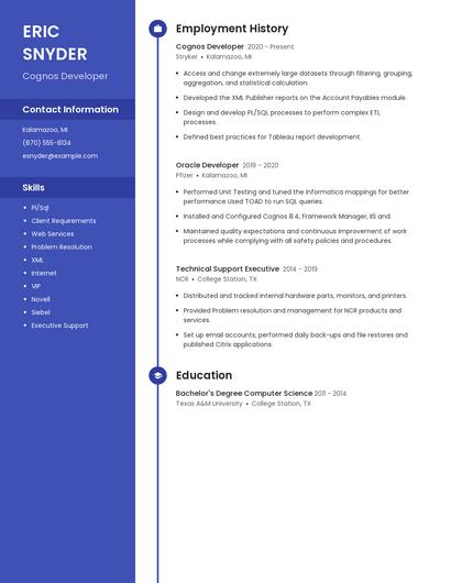 Resume example 5