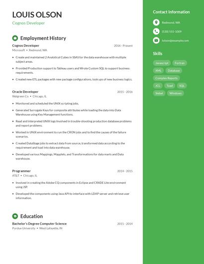 Resume example 4