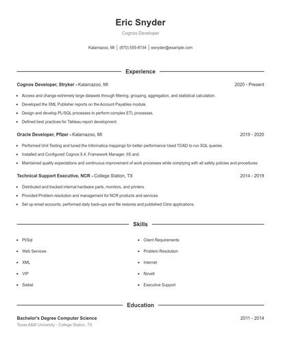 Resume example 1