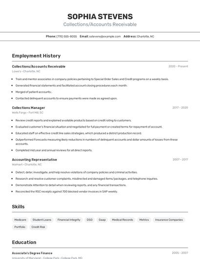 Resume example 2
