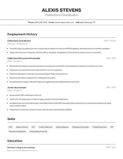 Resume example 2