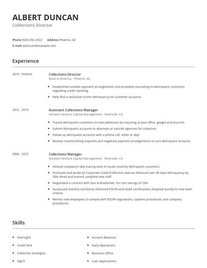 Collections Director Resume