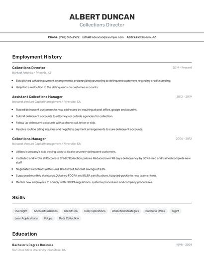 Collections Director Resume