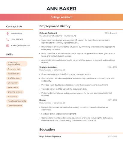 Resume example 3