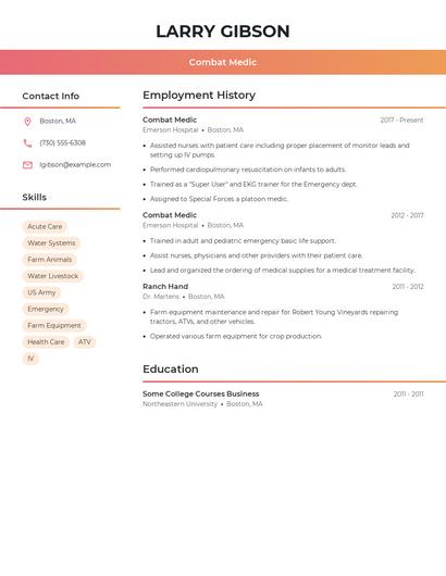 Resume example 3