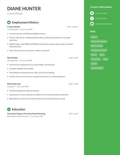 Resume example 4