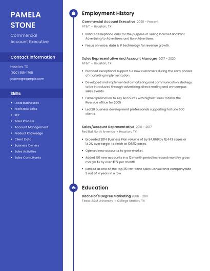 Commercial Account Executive Resume