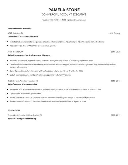 Commercial Account Executive Resume