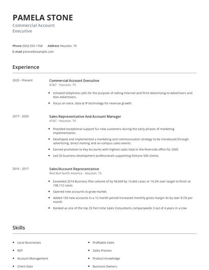 Commercial Account Executive Resume