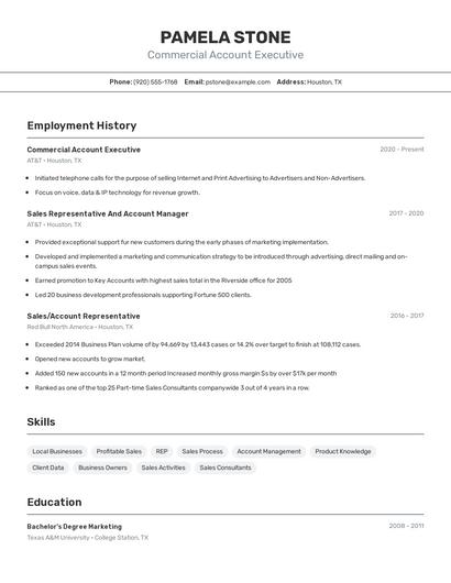 Commercial Account Executive Resume