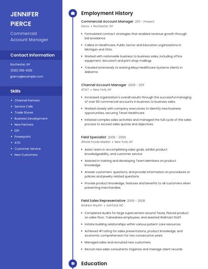 Resume example 4