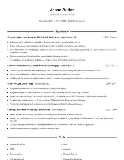 Resume example 1