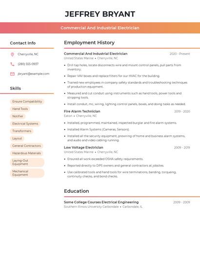 Resume example 3