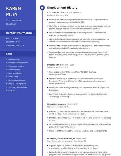 Commercial Director Resume